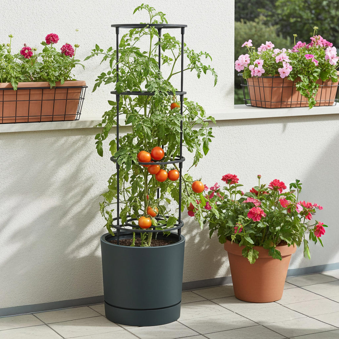Tomaten Anzuchttopf HOME GROWER 30er
