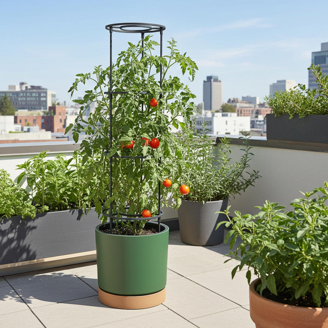 Tomaten Anzuchttopf HOME GROWER 40er