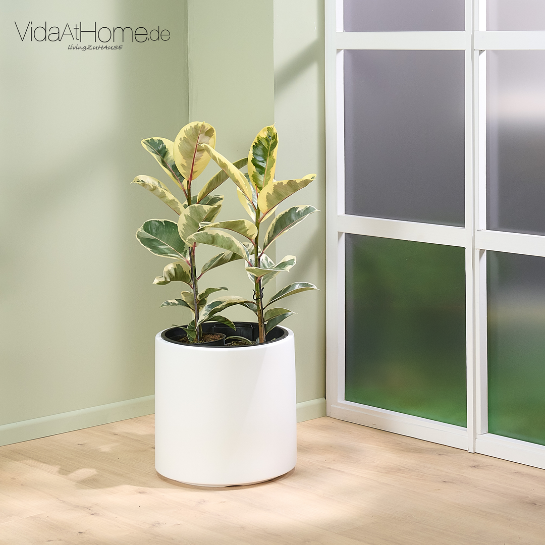 Pflanzgefäß BATOS ø 40er