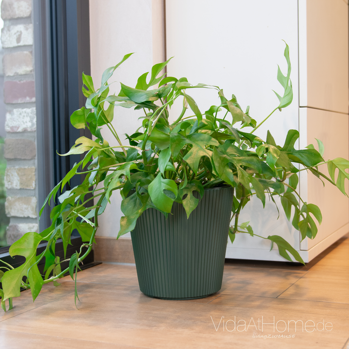 Design-Pflanzgefäße-Set VYLU 30 & BRYA 24