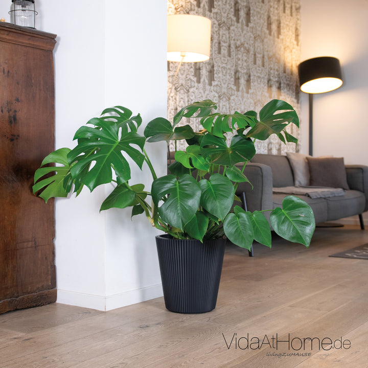 Design-Pflanzgefäße-Set VYLU 40 & BRYA 30