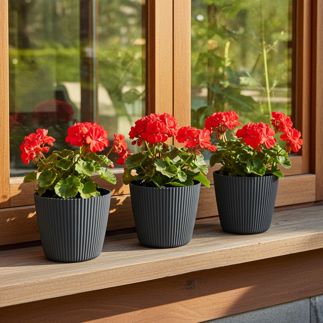 Blumentopf LUCY ø 15er - 3er Set