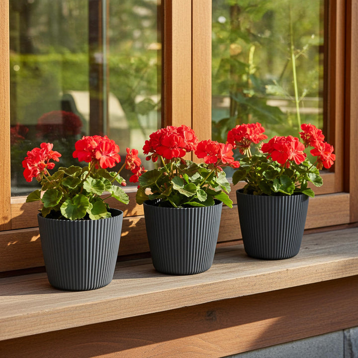 Blumentopf LUCY ø 15er - 3er Set