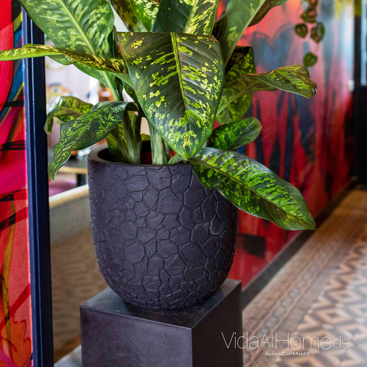 CAPI Pflanzgefäße-Set CLAY ø 35er & 43er