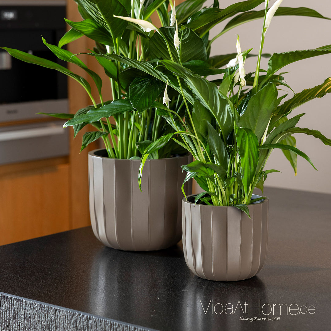 CAPI Blumentopf-Set CRAFT ø 14er, 17er, 24er