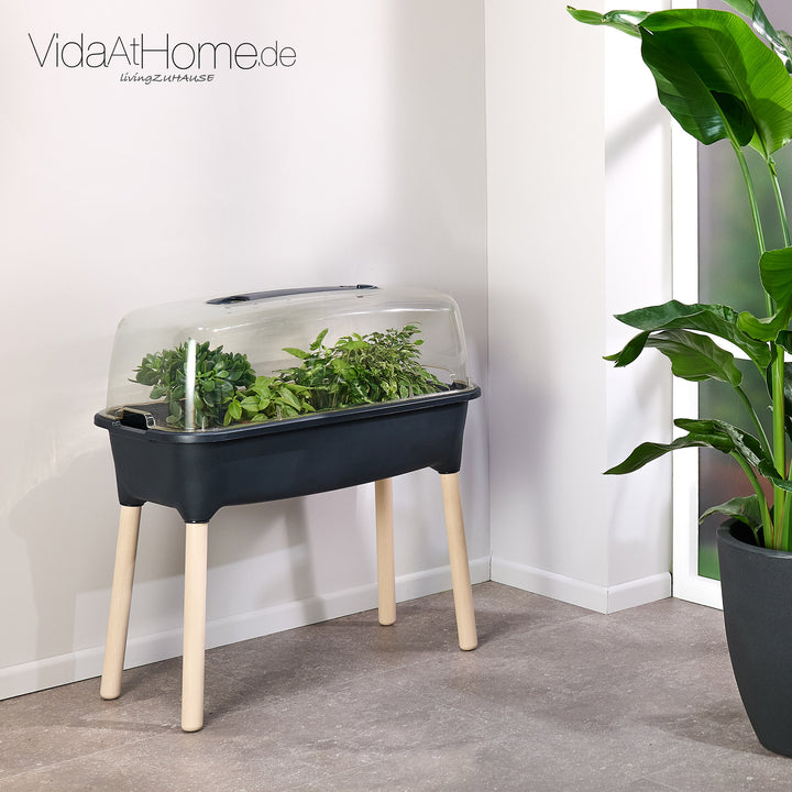 Zimmer-Hochbeet GREENY inkl. Gartenwerkzeug-Set