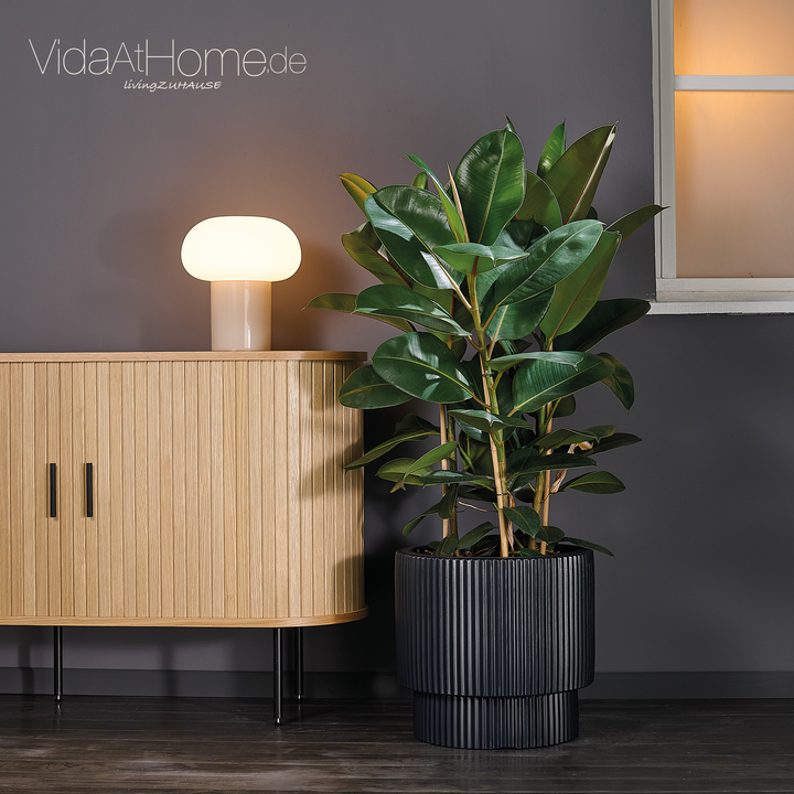 Design-Pflanzgefäße-Set IVY 40 & BRYA 30