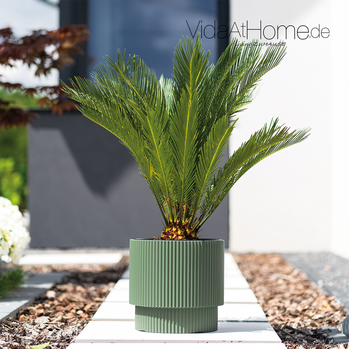 Design-Pflanzgefäße-Set IVY 40 & BRYA 30