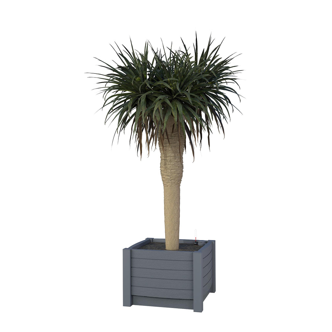 AQUARI Pflanzkasten 50 x 50 x 35 cm mit Bewässerungssystem – vormontiert, Dunkelgrau