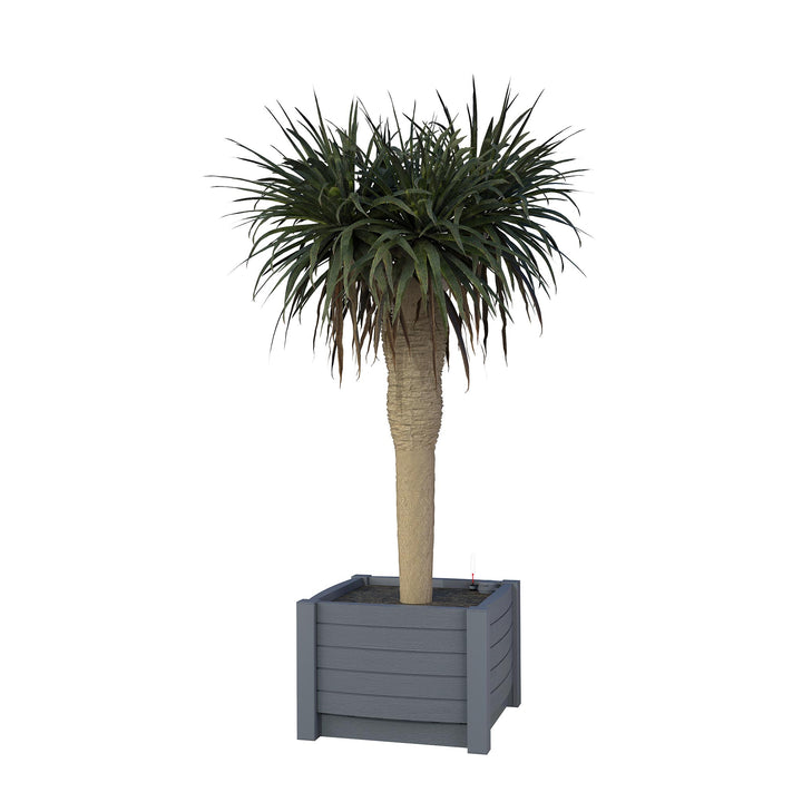 AQUARI Pflanzkasten 50 x 50 x 35 cm mit Bewässerungssystem – vormontiert, Dunkelgrau