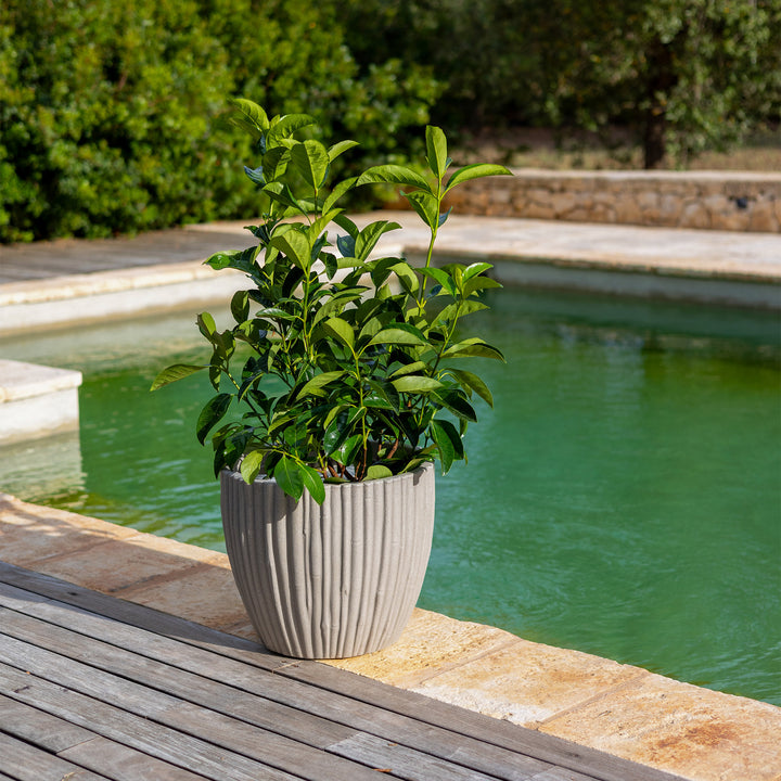 Premium-Pflanzgefäß BAMBU ø 40cm