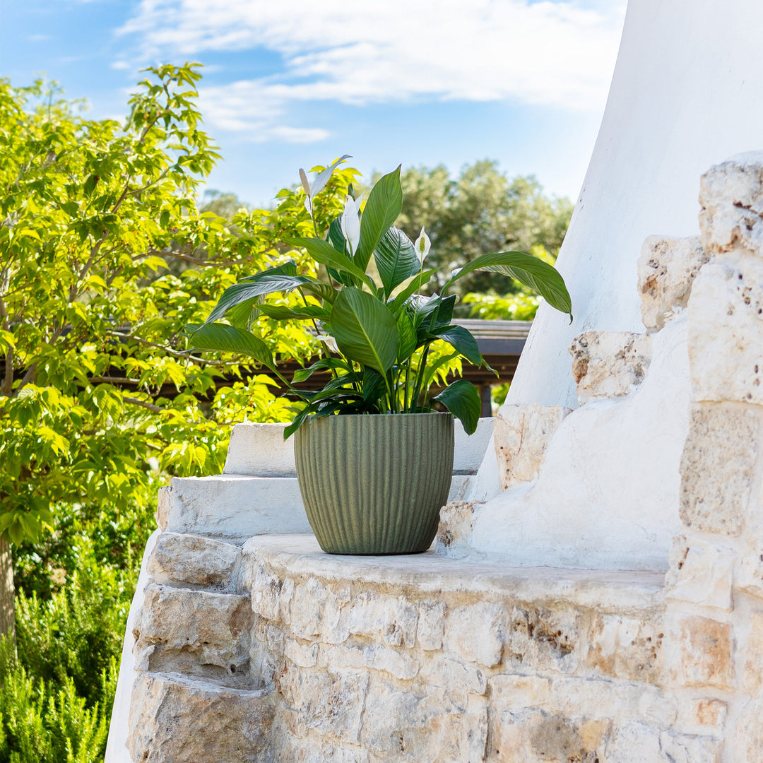 Premium-Pflanzgefäß BAMBU ø 40cm