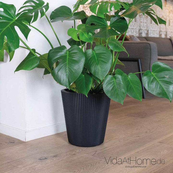 Design-Pflanztopf BRYA ø 30er - Zweite Chance