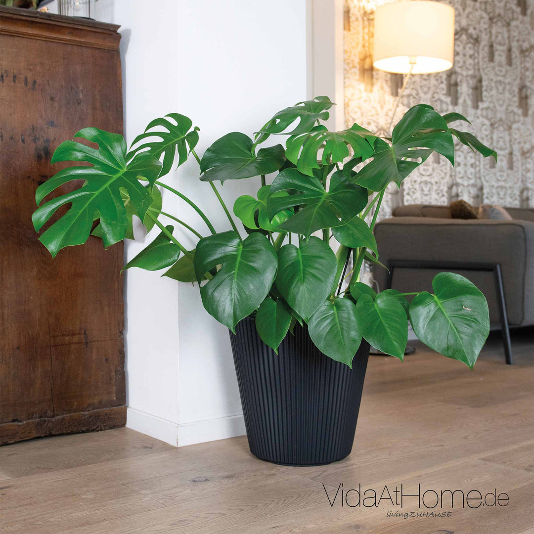 Design-Pflanztopf BRYA ø 40er - Zweite Chance