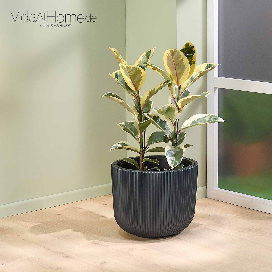 Design-Pflanztopf CYRA ø 40er mit Bewässerungseinsatz