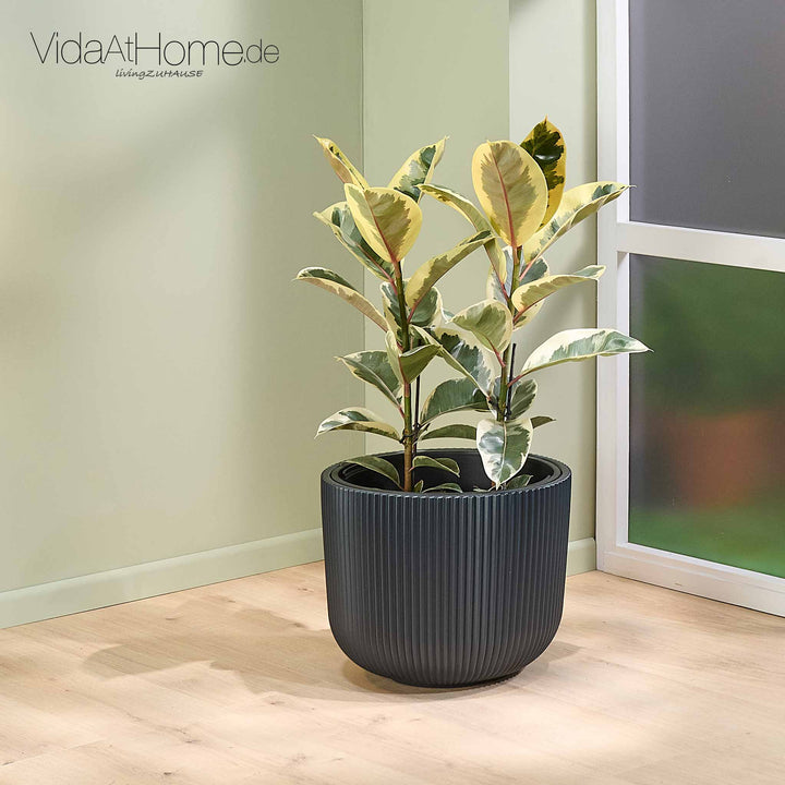 Design-Pflanztopf CYRA ø 40er mit Bewässerungseinsatz