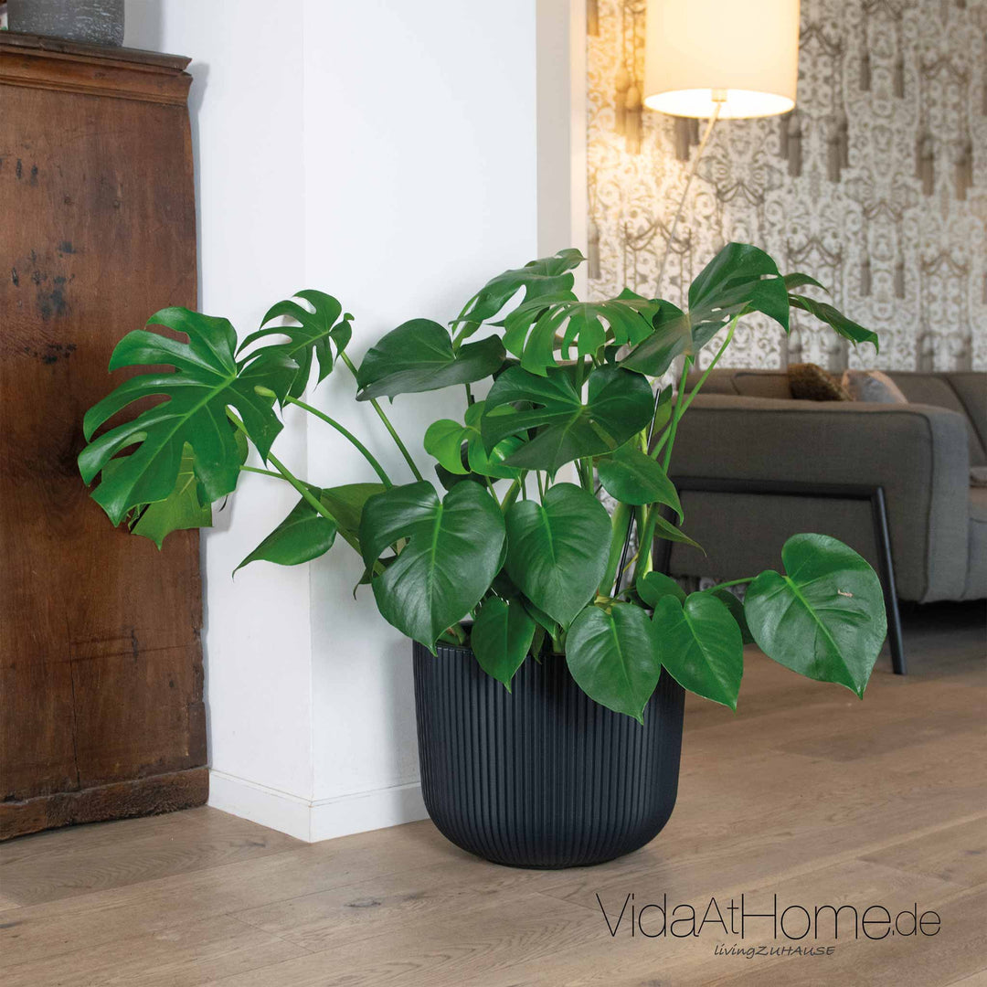 Design-Pflanzgefäß CYRA ø 40 cm – robust & stylisch – VidaAtHome.de