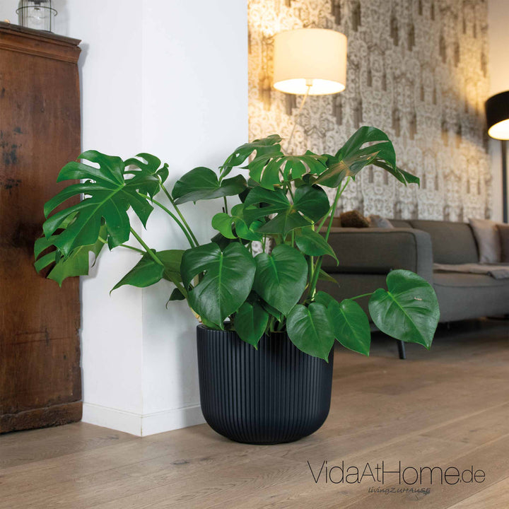 Design-Pflanztopf CYRA ø 40er mit Bewässerungseinsatz