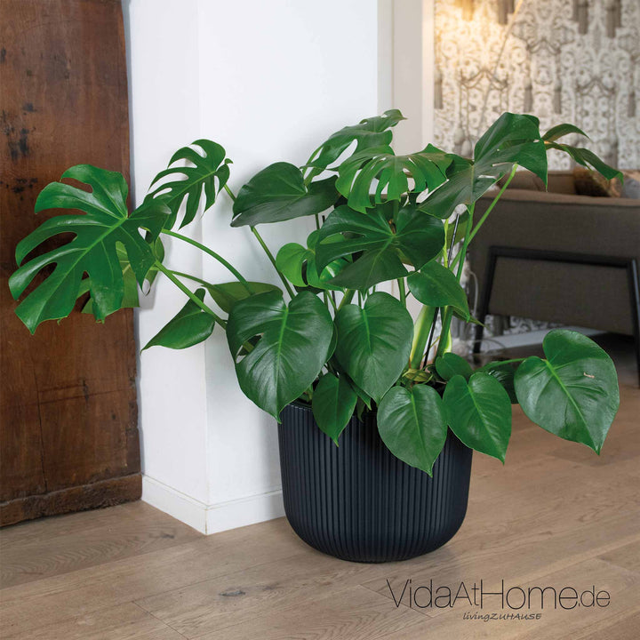 Design-Pflanztopf CYRA ø 40er mit Bewässerungseinsatz