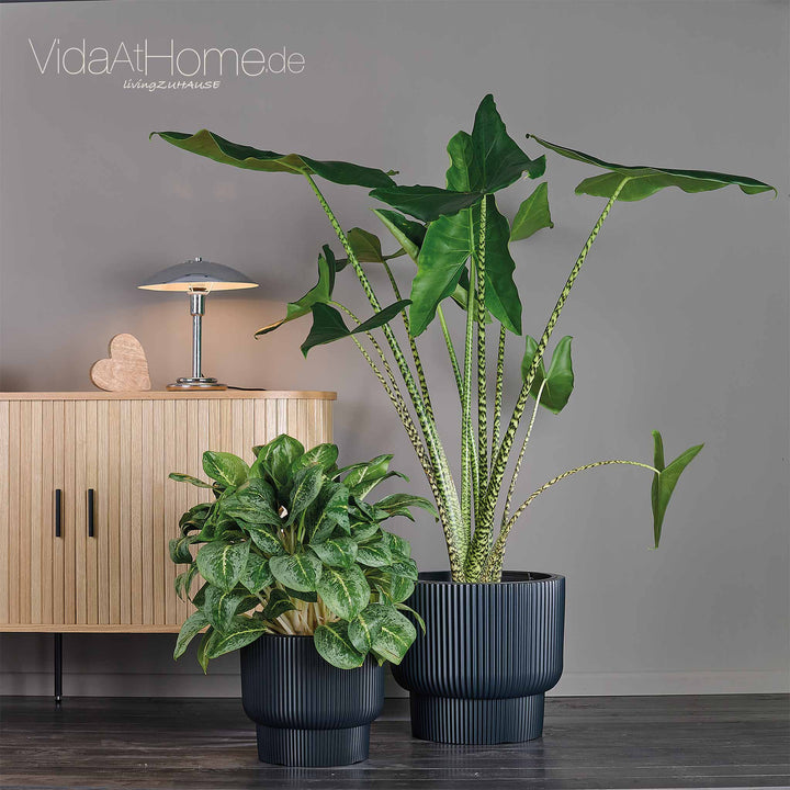 Design-Pflanzgefäße-Set ULEY (2er Set)