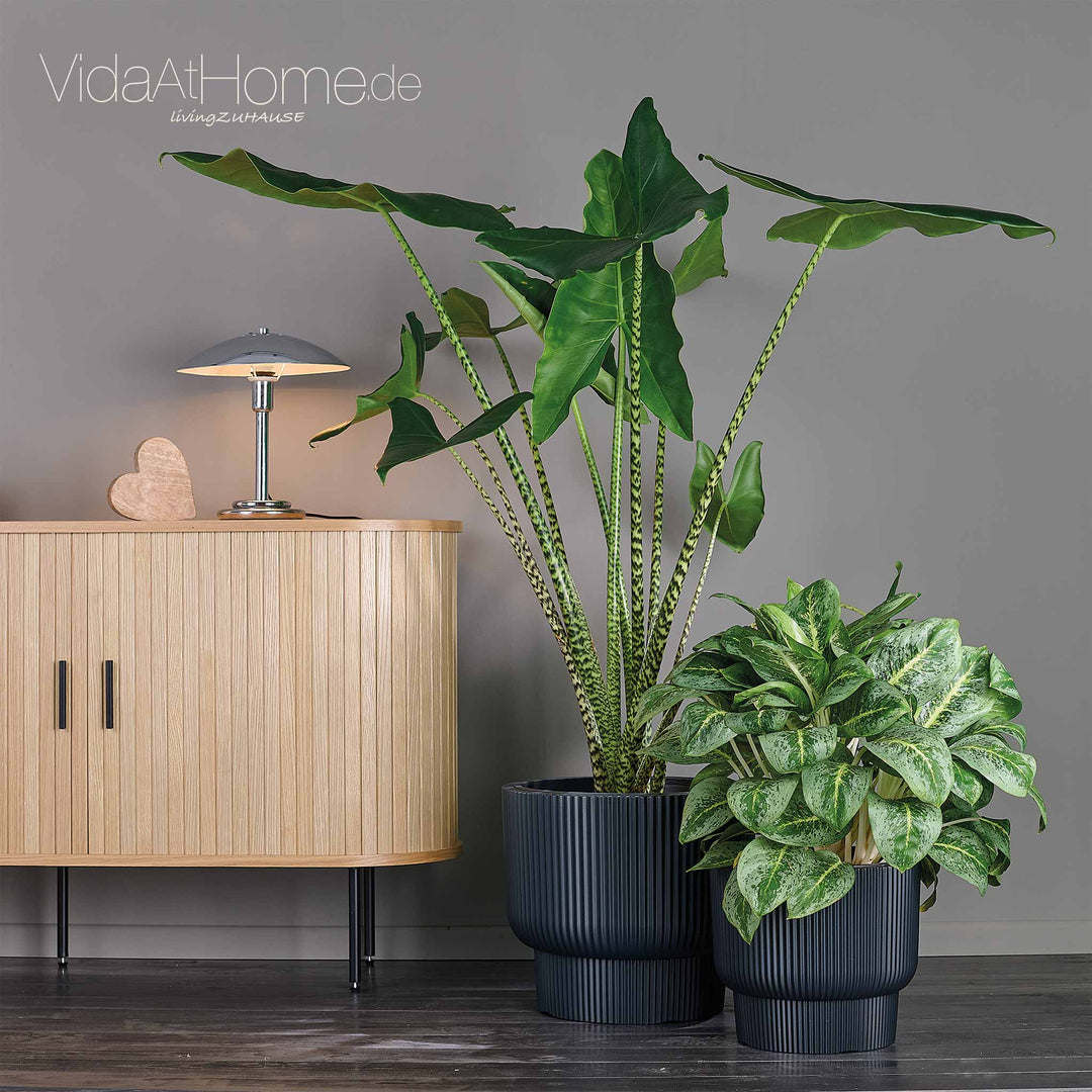 Design-Pflanzgefäße-Set ULEY (2er Set)