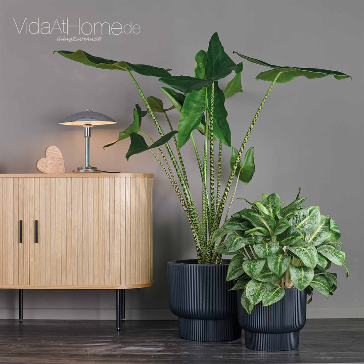 Design-Pflanzgefäße-Set ULEY (2er Set)