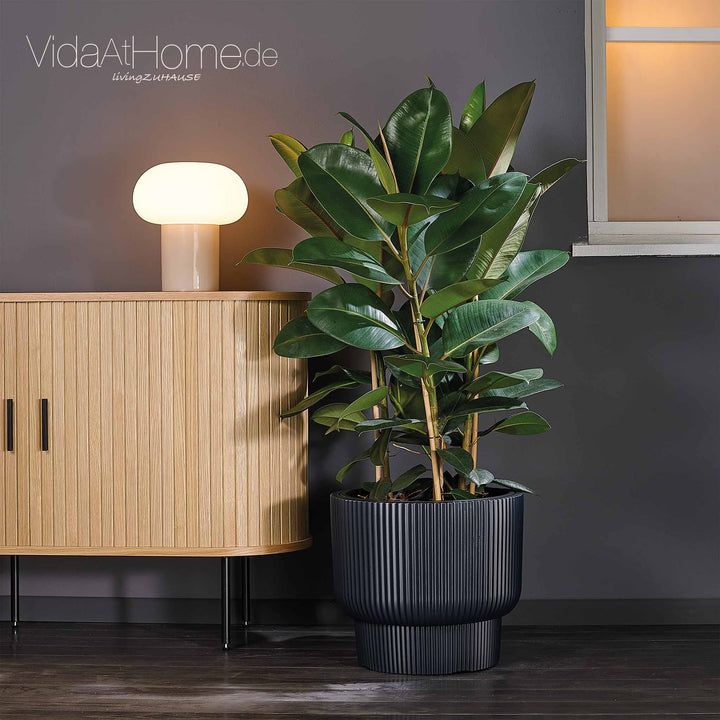 Design-Pflanzgefäße-Set ULEY (2er Set)