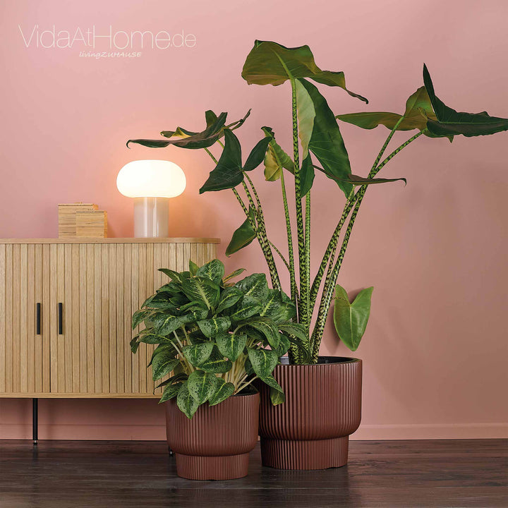 Design-Pflanzgefäße-Set ULEY (2er Set)