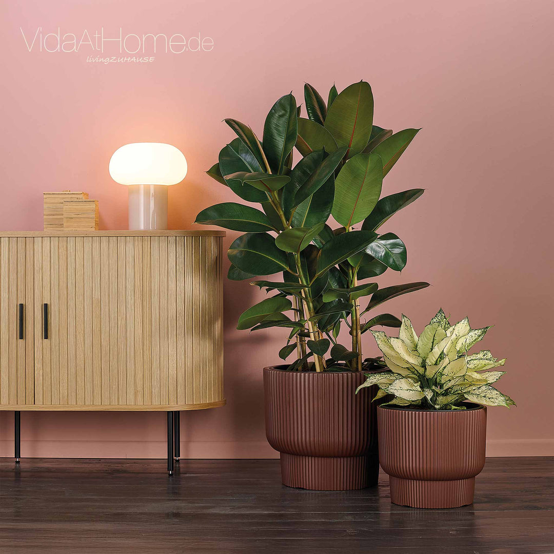 Design-Pflanzgefäße-Set ULEY (2er Set)