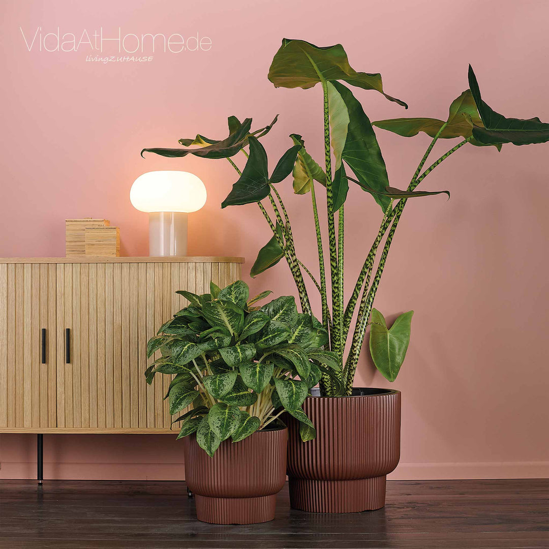 Design-Pflanzgefäße-Set ULEY (2er Set)