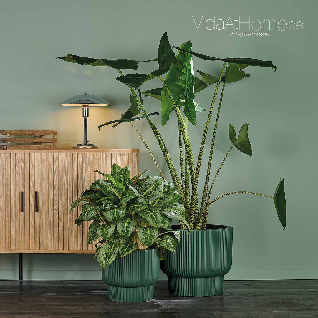 Design-Pflanzgefäße-Set ULEY (2er Set)