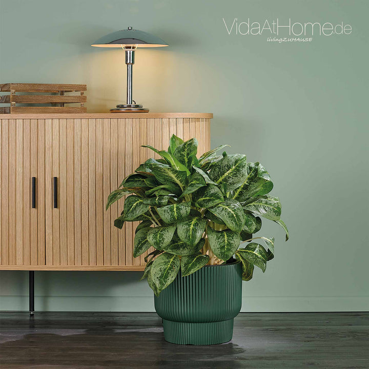 Design-Pflanzgefäß ULEY ø 30er