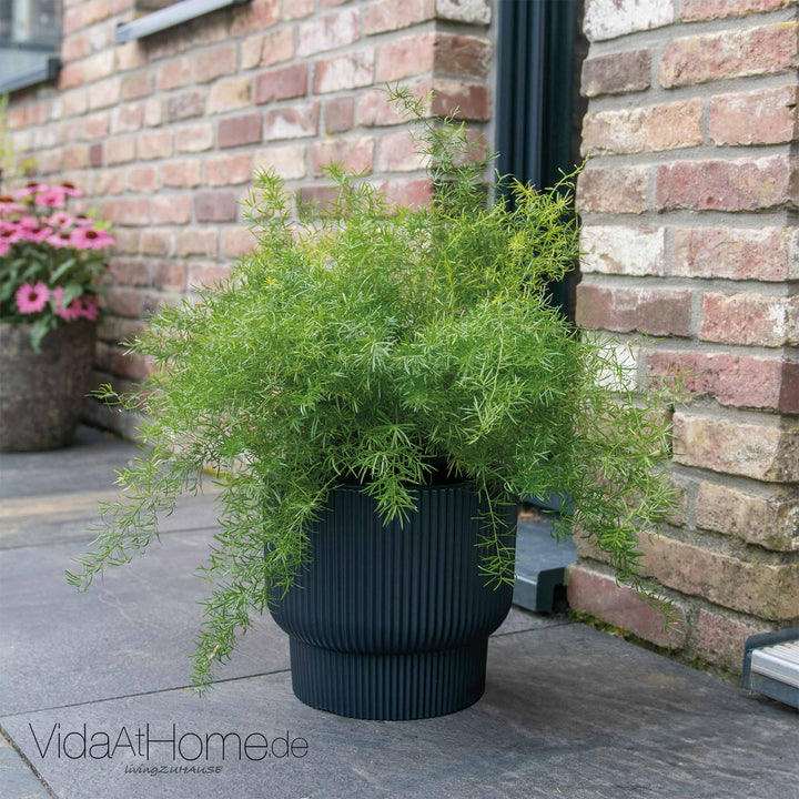 Design-Pflanzgefäß ULEY ø 40er