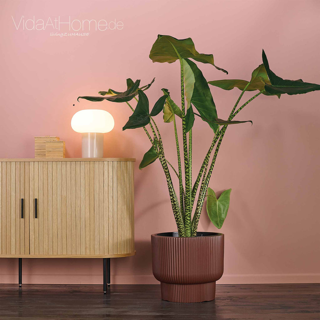 Design-Pflanzgefäß ULEY ø 40er