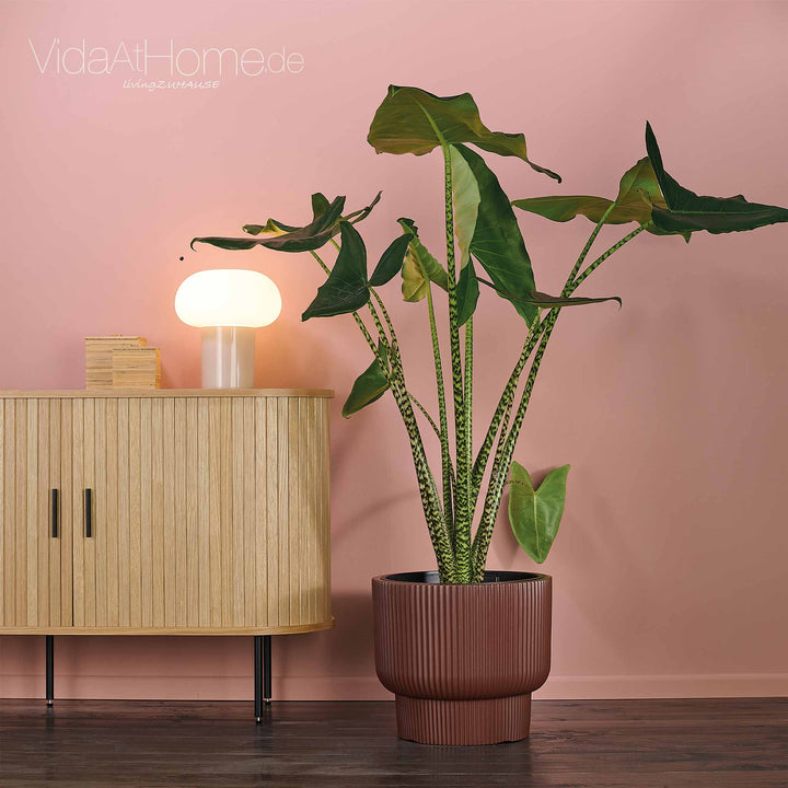 Design-Pflanzgefäß ULEY ø 40er