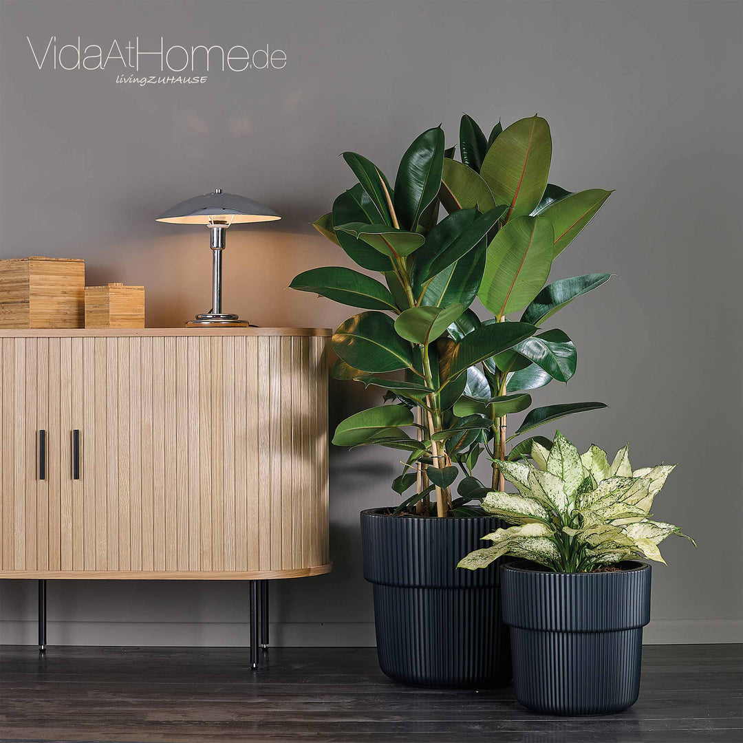 blumenkasten klein holz Brauner Holz-Blumenkasten mit Seilgriff – rustikaler Pflanzkasten für  Balkon & Garten / Dekorativer Holzkasten für Kräuter & Blumen / H online  kaufen main image 0