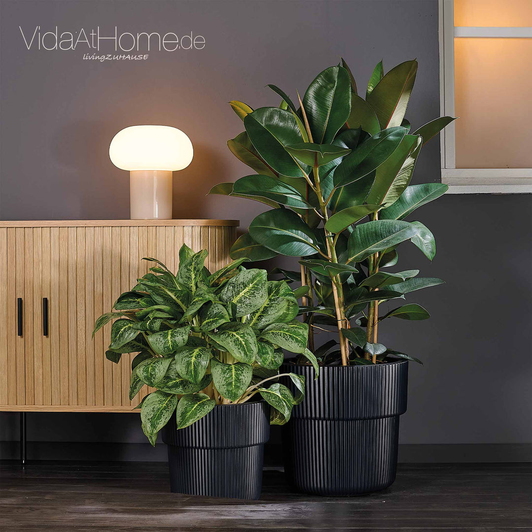 Design-Pflanzgefäße-Set VYLU (2er Set)