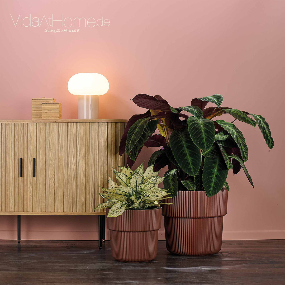 Design-Pflanzgefäße-Set VYLU (2er Set)