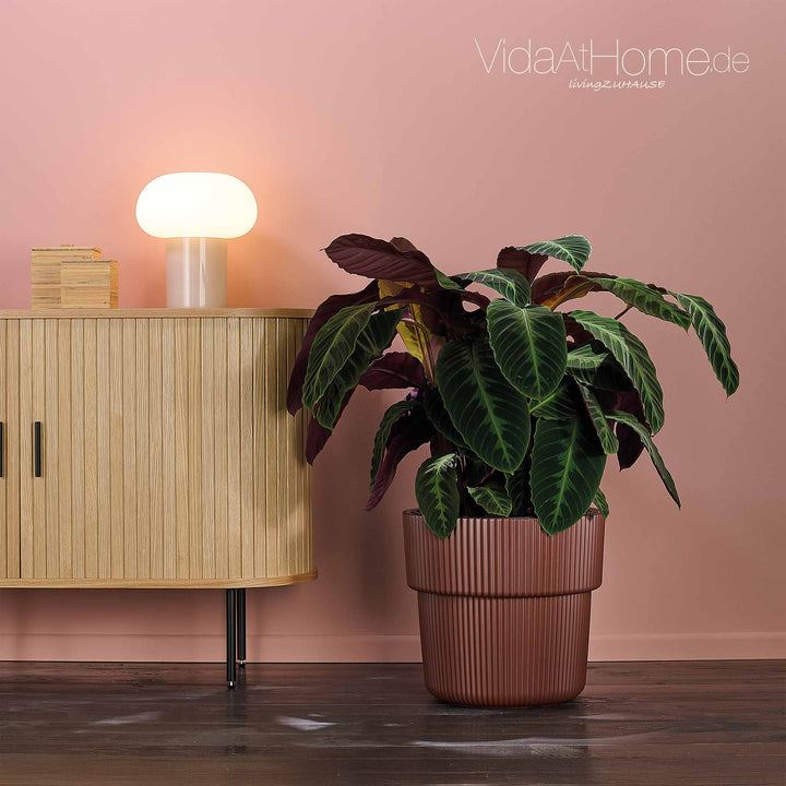 Design-Pflanzgefäß VYLU ø 40er
