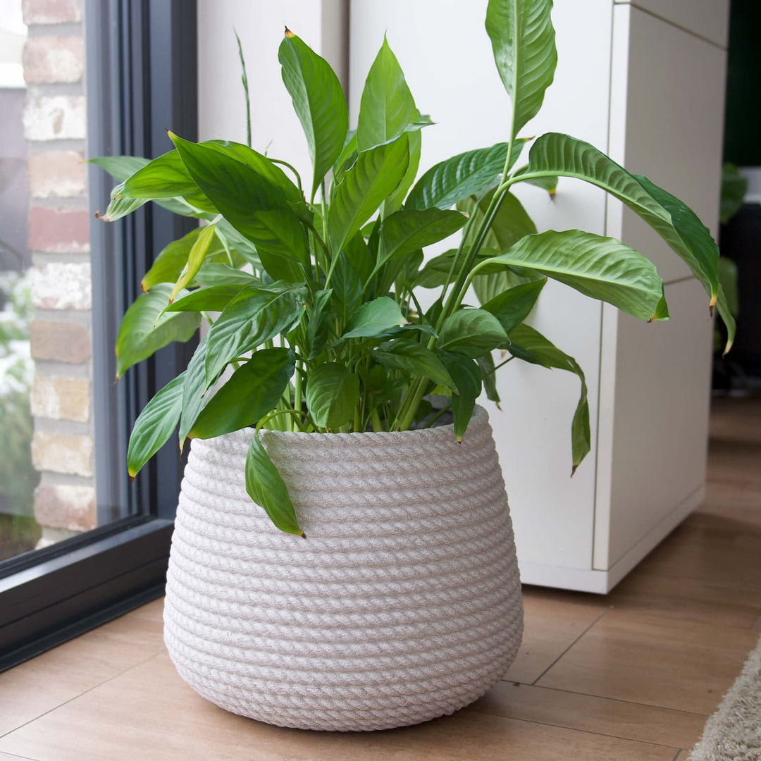 Premium-Pflanzgefäß BALI Kordel ø 38cm