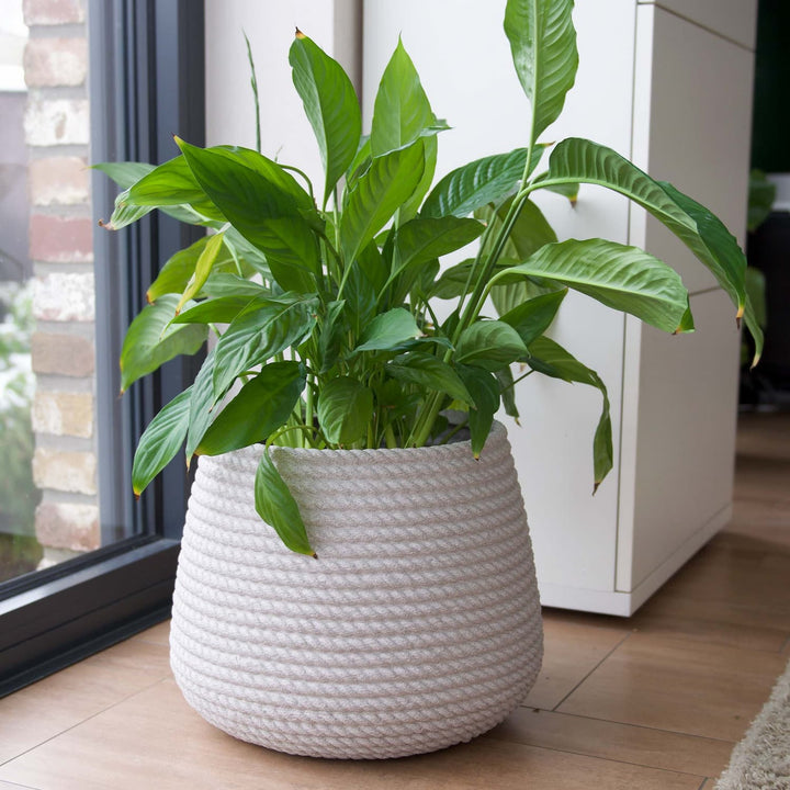 Premium-Pflanzgefäß BALI Kordel ø 38cm