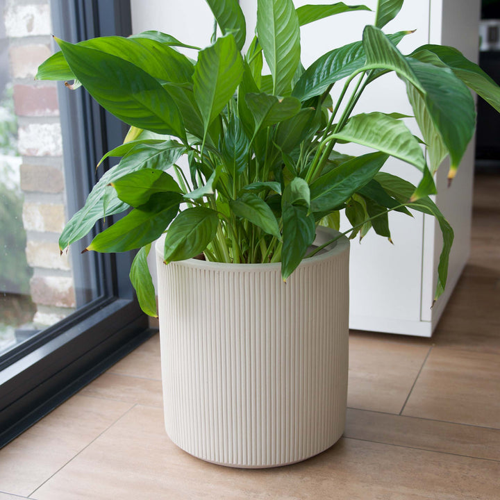 Premium-Pflanzgefäß CITY Rillendesign ø 27cm