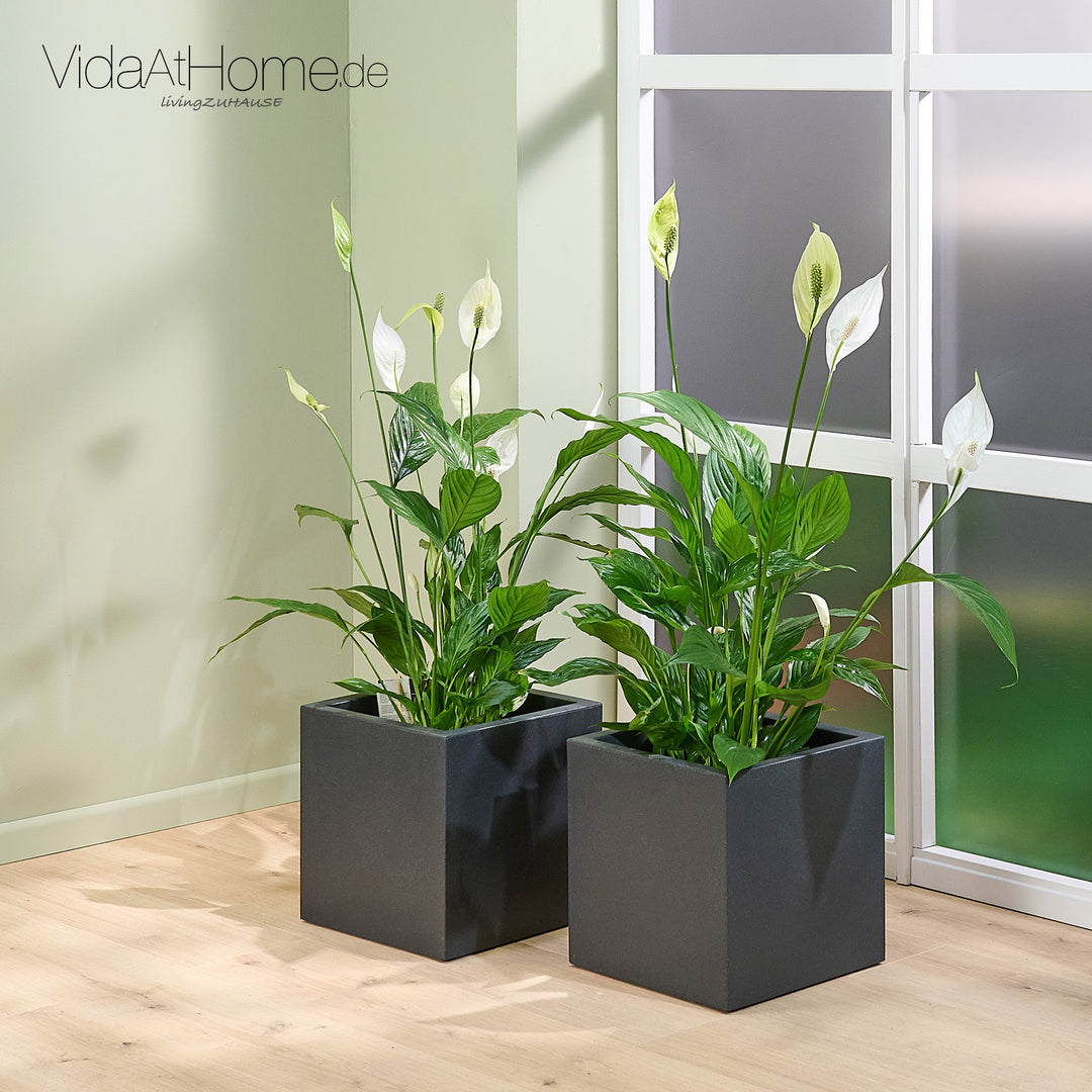 Pflanzkübel QUBO 30 - 2er Set