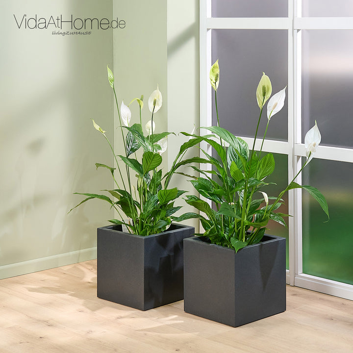 Pflanzkübel QUBO 30 - 2er Set