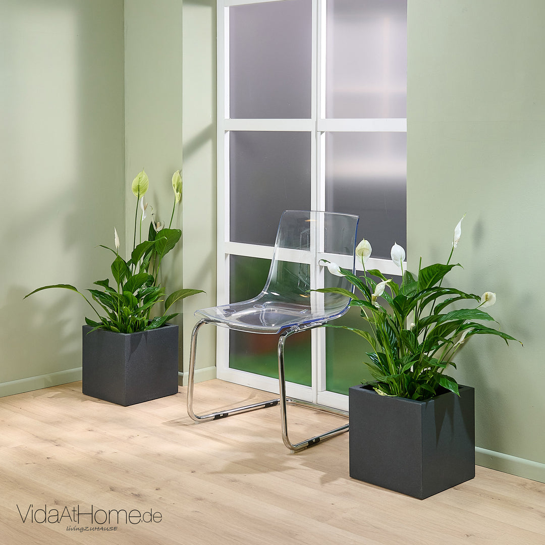 Pflanzkübel QUBO 30 - 2er Set