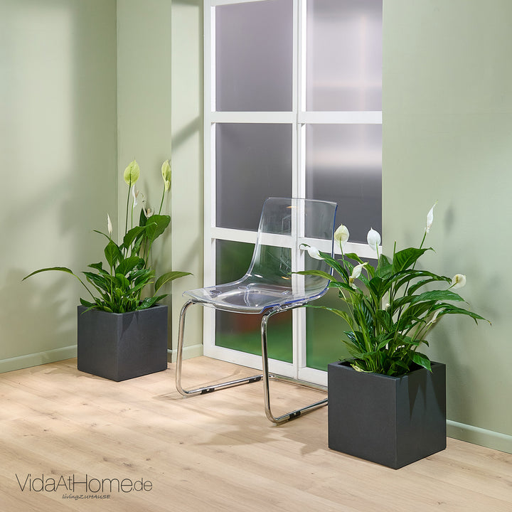 Pflanzkübel QUBO 30 - 2er Set