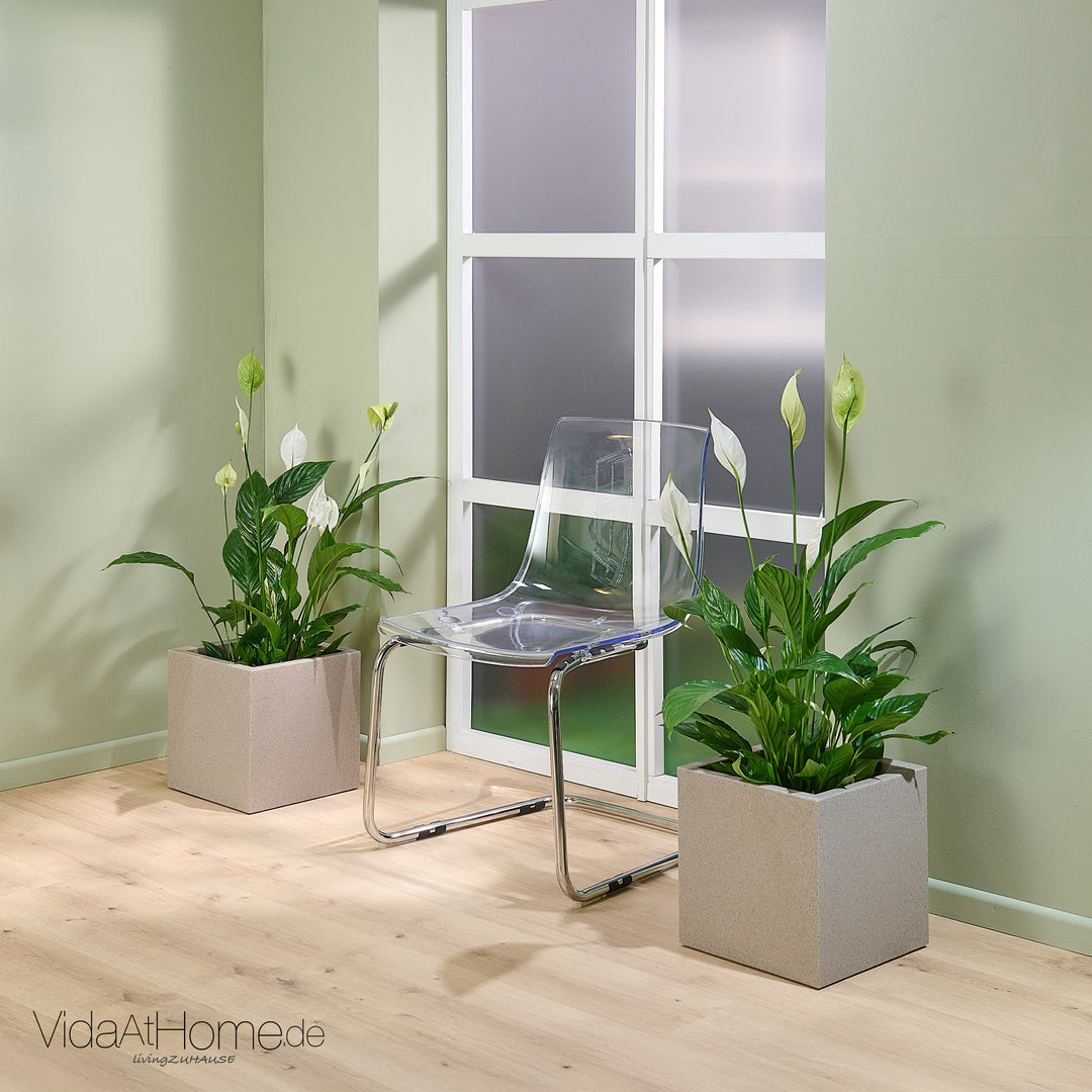 Pflanzkübel QUBO 30 - 2er Set