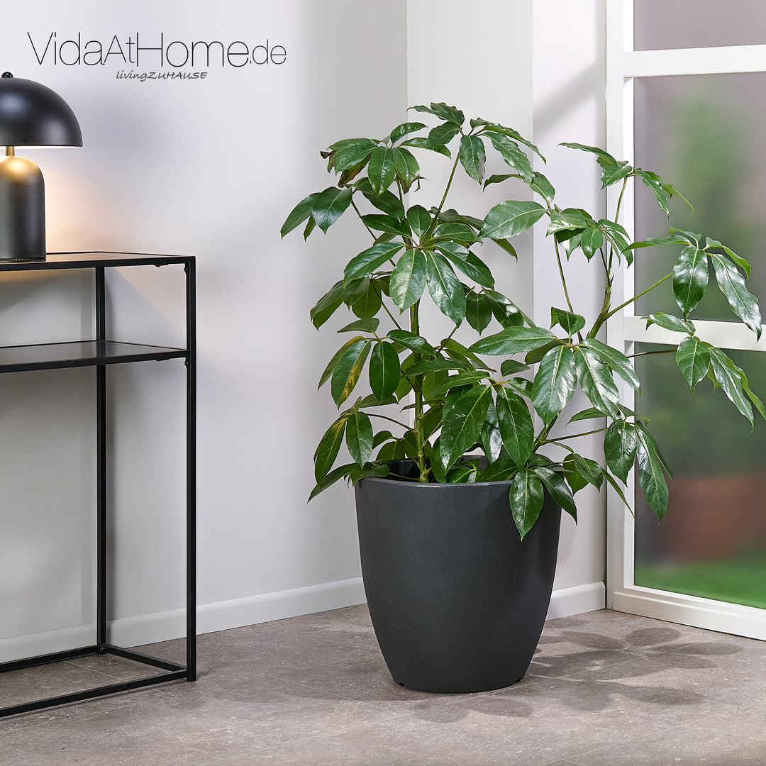 Pflanzkübel VERONA ø 40 cm – Elegant & Wetterfest –