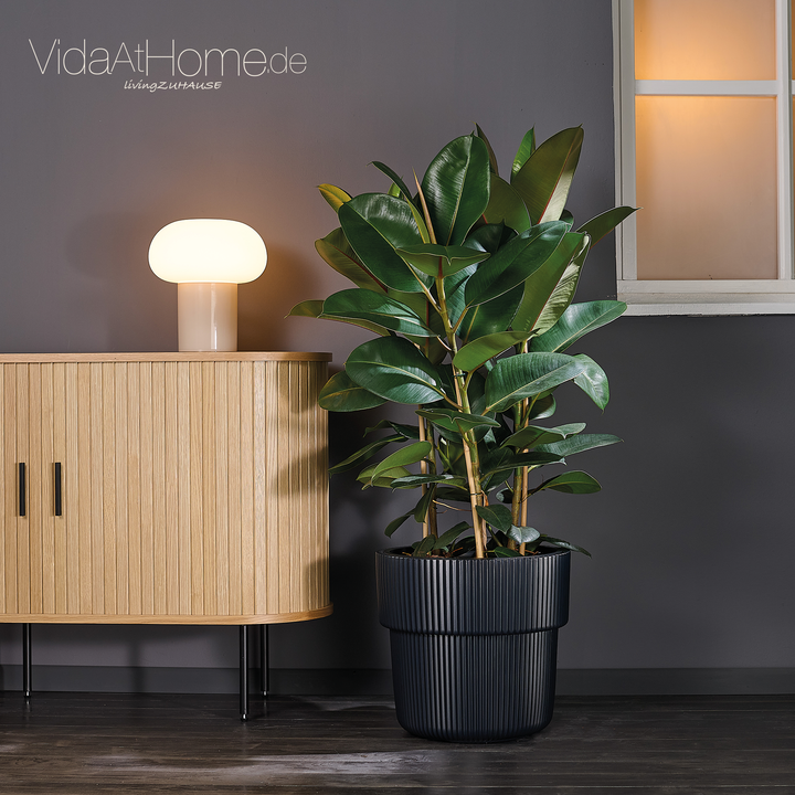 Design-Pflanzgefäße-Set VYLU 40 & BRYA 30