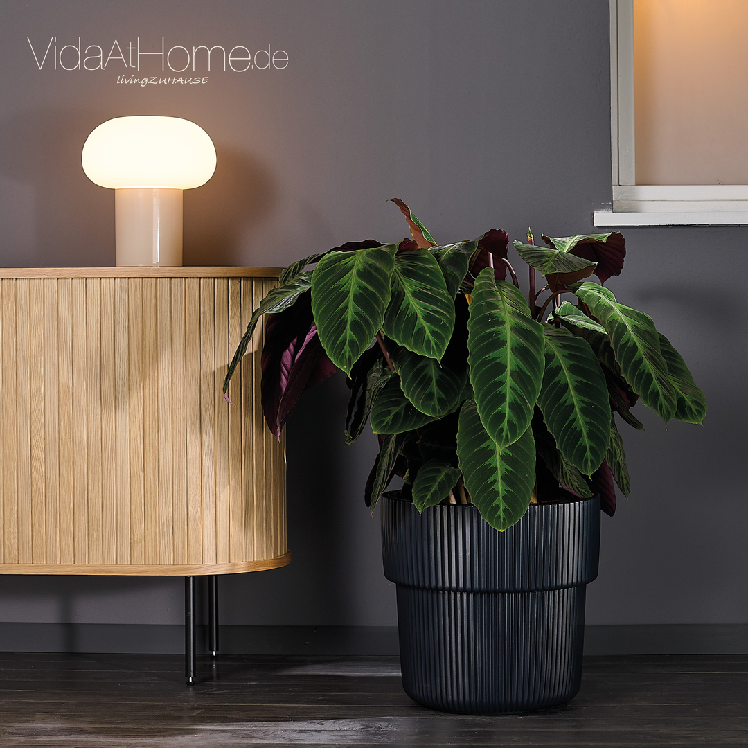 Design-Pflanzgefäße-Set VYLU 40 & BRYA 30
